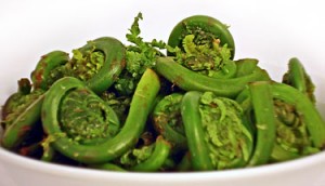 Fiddleheads-375w-300x172