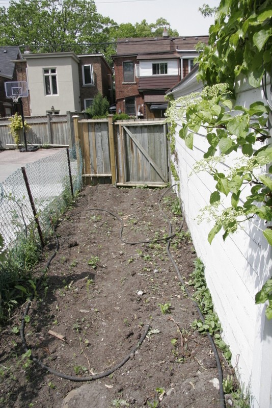 Desolate piece of land with full South exposure = perfect vegetable garden