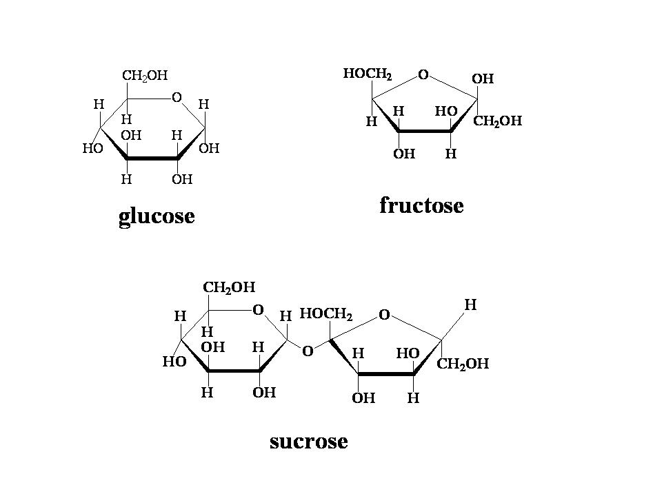 glucose and lactose
